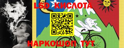 apvp Гатчина