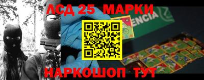 apvp Гатчина