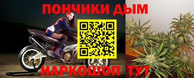 apvp Гатчина