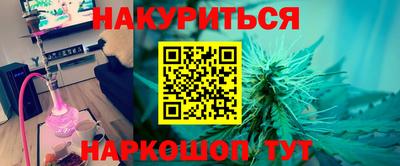apvp Гатчина