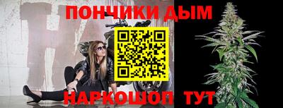 apvp Гатчина