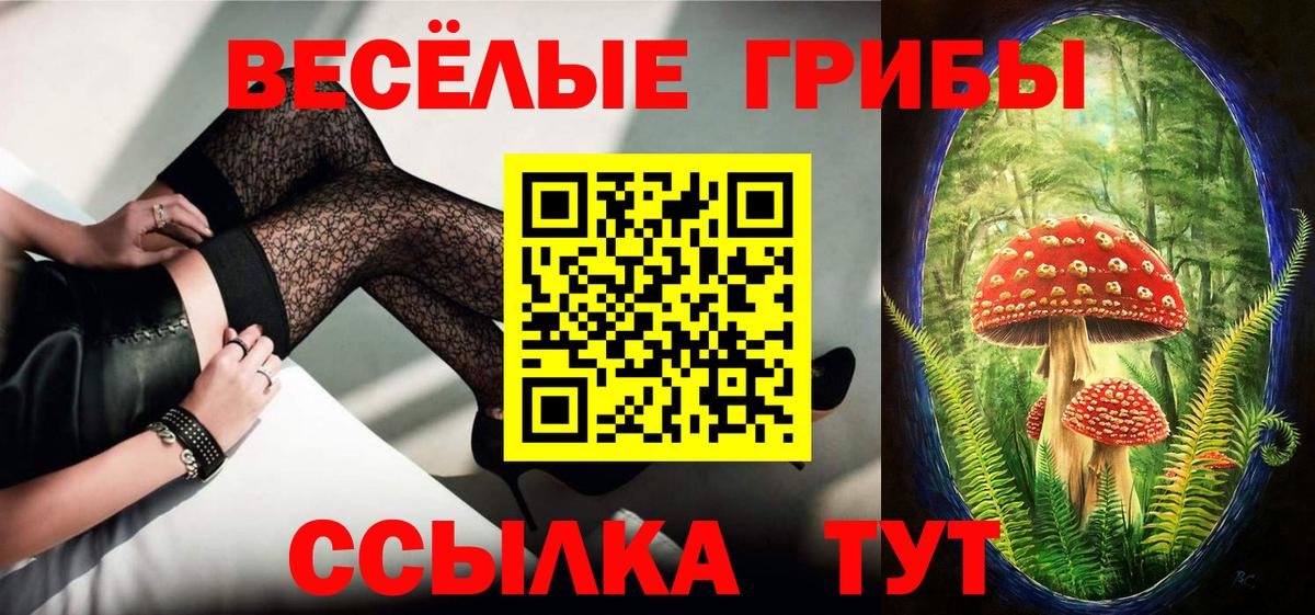 Галлюциногенные грибы Psilocybine cubensis  Галлюциногенные грибы ЛСД  Михайловка  Вход с VPN 