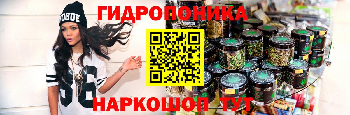 Бошки марихуана планчик  Канабис ГИДРОПОН  Михайловка  Каннабис OG Kush  Бошки марихуана Bruce Banner  Вход с VPN 